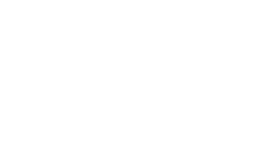 Travel Experts — Transporte corporativo de pasajeros